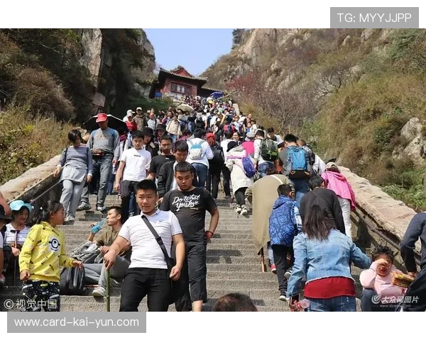 山东泰山急速推进抓住极佳时机